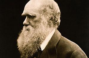 charles darwin charles darwin