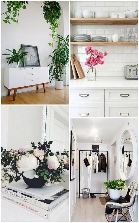 DECO: Flores y Plantas