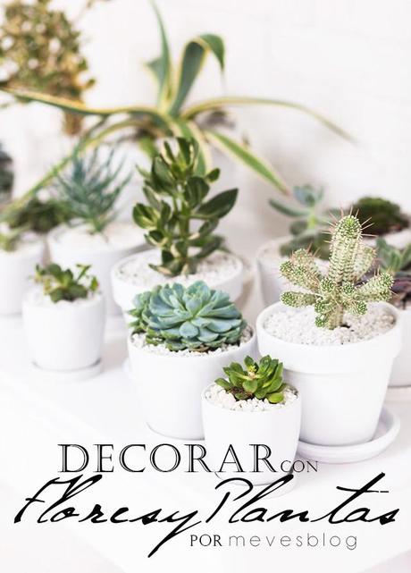 DECO: Flores y Plantas