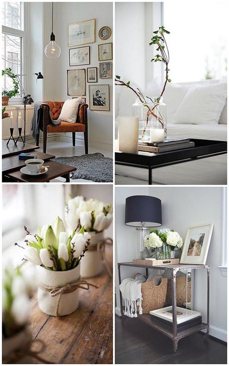 DECO: Flores y Plantas