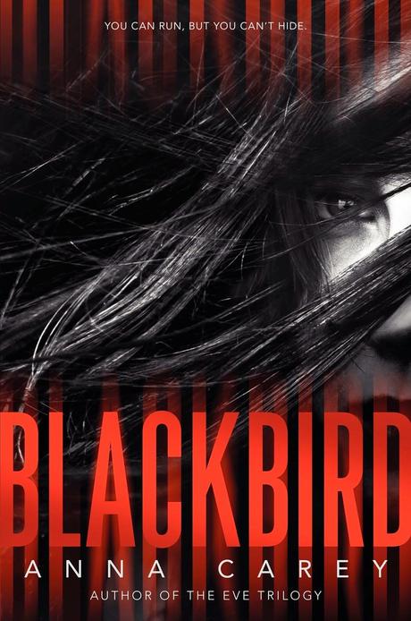 Avance V&R: Blackbird - Anna Carey