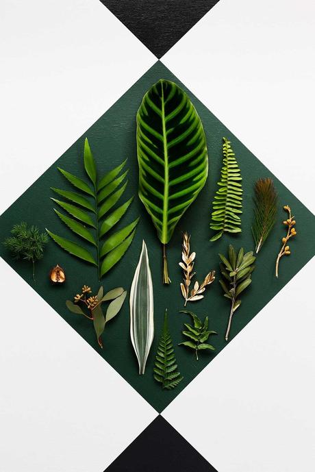 TENDENCIAS DE COLOR 2015 POR HAYMES TENDENCIAS DE COLOR 2015 POR HAYMES