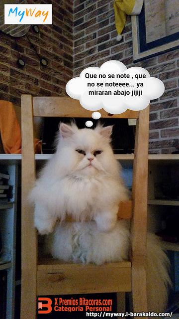 Estamos tan Agustito LXIV. ...Que no se note...Premios Bitacoras.com 2014 Estamos tan agustito