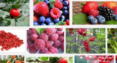 Os voy a dar calabazas ( que son bayas anafrodisíacas). bayas