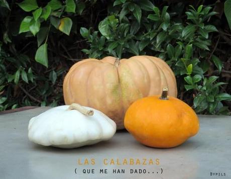 Os voy a dar calabazas ( que son bayas anafrodisíacas). c3