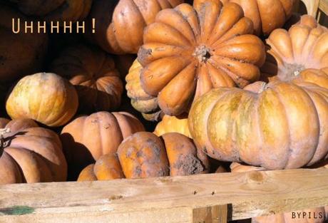 Os voy a dar calabazas ( que son bayas anafrodisíacas). c2