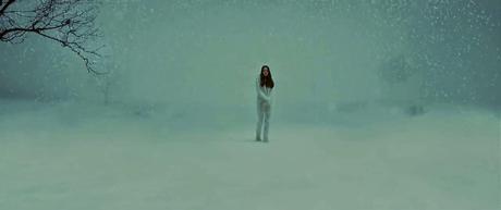 White bird in a blizzard - 2014 White bird in a blizzard - 2014