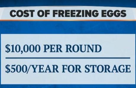 Subvencionar la congelación de óvulos