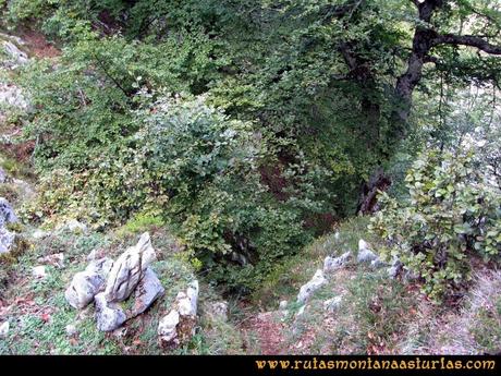 Ruta Ercina, Verdilluenga, Punta Gregoriana, Cabrones: Bosque de las Reblagas, entrando en la canal a la Vega del Bricial Ruta Ercina, Verdilluenga, Punta Gregoriana, Cabrones: Bosque de las Reblagas, entrando en la canal a la Vega del Bricial