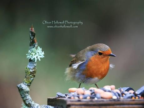 La mirada diferente de un fotógrafo con Síndrome de Down La mirada diferente de un fotógrafo con Síndrome de Down