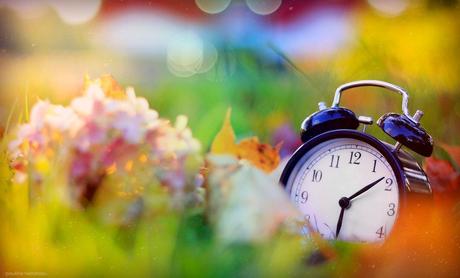 <alt></div>El lugar y el tiempo del novelista</alt> El lugar y el tiempo del novelista
