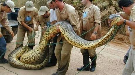 EL PODER CORROMPE… Y VUELVE ESTÚPIDO Los estafadores, defraudadores y corruptos en general que al lado del poder y de la política trincan durante años están convencidos de que nadie se enterará y jamás les pillarán. Pero a veces la propia naturaleza s... EL PODER CORROMPE… Y VUELVE ESTÚPIDO Los estafadores, defraudadores y corruptos en general que al lado del poder y de la política trincan durante años están convencidos de que nadie se enterará y jamás les pillarán. Pero a veces la propia naturaleza s...