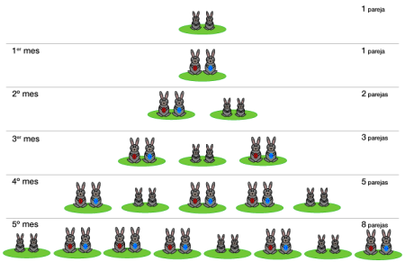 ¿Sabías qué? – “Fibonacci” #MiércolesdeCiencia 5.1.FibonacciRabbit-2