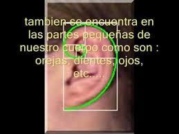 ¿Sabías qué? – “Fibonacci” #MiércolesdeCiencia images