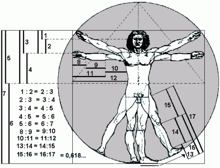 ¿Sabías qué? – “Fibonacci” #MiércolesdeCiencia vitruvio