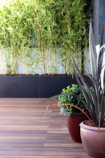 Diseño de jardín y decoración para una terraza pequeña y con mucho