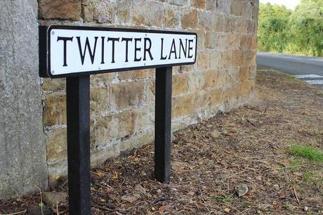 Twitter próximo a mostrar tweets de cuentas que no siguen twitter-lane