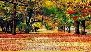 Canción para hoy: El final del verano (Dúo Dinámico) Canción para hoy: El final del verano (Dúo Dinámico)