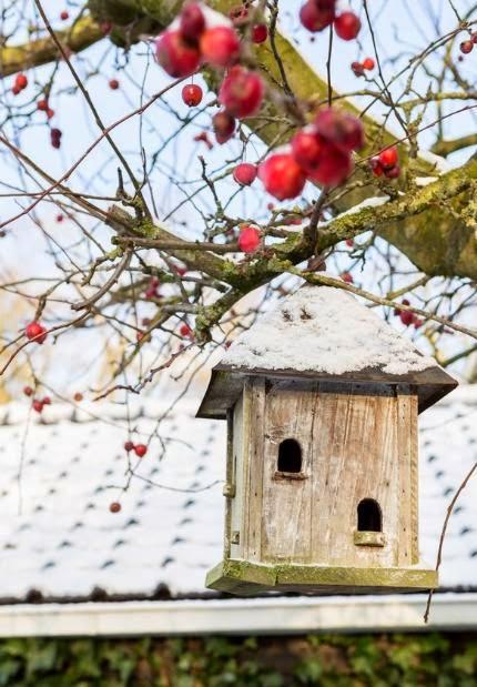 Casa nórdica para el fin de semana Casa nórdica para el fin de semana