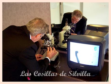 50 aniversario de la Peluquería Figuero. 50 aniversario de la Peluquería Figuero.