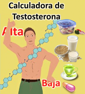 Como Aumentar la Testosterona