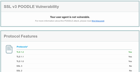 Poodle: otra grave vulnerabilidad al descubierto Poodle: otra grave vulnerabilidad al descubierto