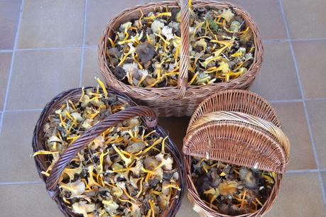 Carne en Salsa y Camagrocs Carne en Salsa y Camagrocs