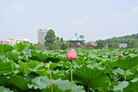 Templo Bentendô 弁天堂