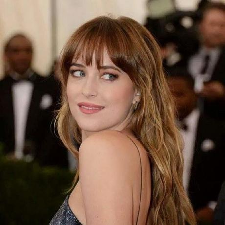 DAKOTA JOHNSON / ANA STEELE