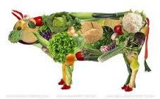 proteina2 Proteinas vegetales una opción saludable y sin carne...