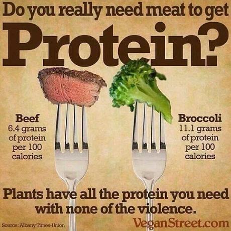 proteina345 Proteinas vegetales una opción saludable y sin carne...