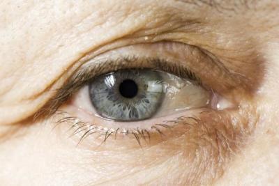 Los ojos, de naturaleza inmunoprivilegiada, han sido los primeros en beneficiarse de esta tecnología / Fotolia.