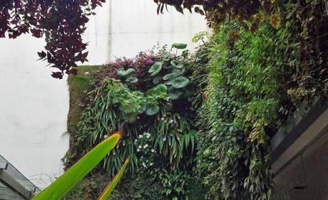 Jardín vertical en Buenos Aires. Unusualgreen Argentina. Jardín vertical Buenos Aires