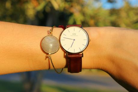 Autumn Love Autumn Love