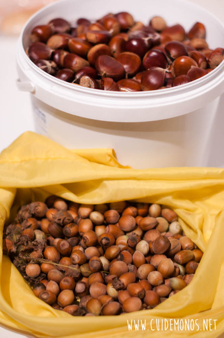 La mejor dieta para el otoño La mejor dieta para el otoño