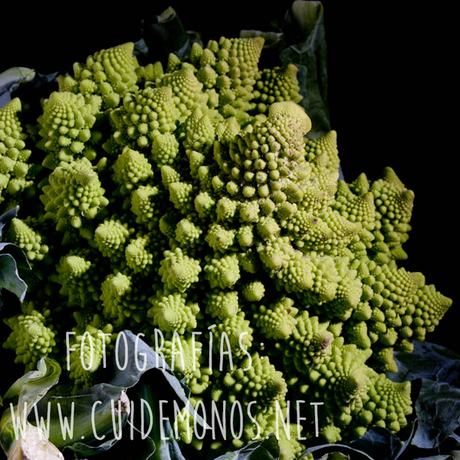 La mejor dieta para el otoño La mejor dieta para el otoño