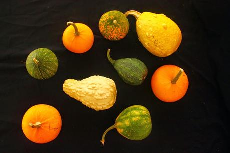 ROLLO DE CALABAZA, RUIBARBO Y MASCARPONE ROLLO DE CALABAZA, RUIBARBO Y MASCARPONE