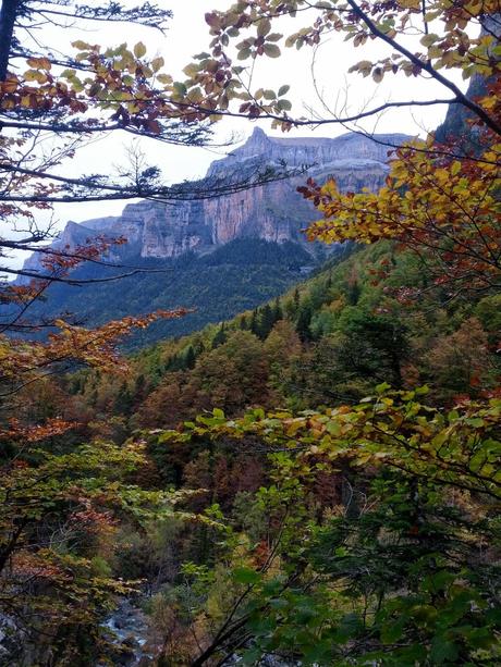 Un viaje especial en Otoño / A special trip in Autumn Un viaje especial en Otoño / A special trip in Autumn