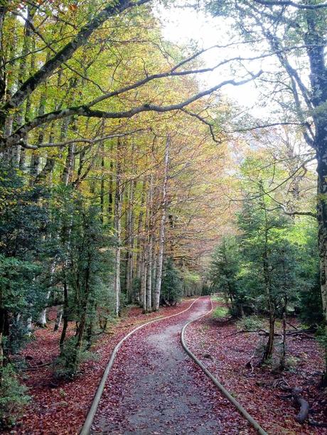 Un viaje especial en Otoño / A special trip in Autumn Un viaje especial en Otoño / A special trip in Autumn