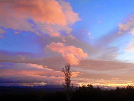 Un viaje especial en Otoño / A special trip in Autumn Un viaje especial en Otoño / A special trip in Autumn