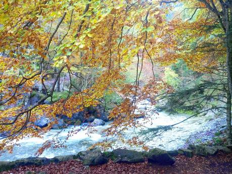 Un viaje especial en Otoño / A special trip in Autumn Un viaje especial en Otoño / A special trip in Autumn