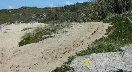 Cuando la pasión no cae del cielo pasos