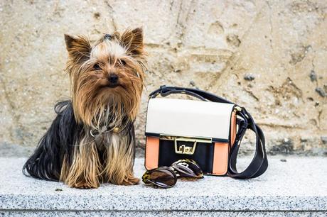 Basics Stylish Basics Stylish