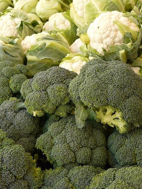 broccoli-5735_640