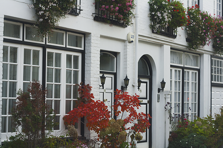 INTO THE MEWS INTO THE MEWS