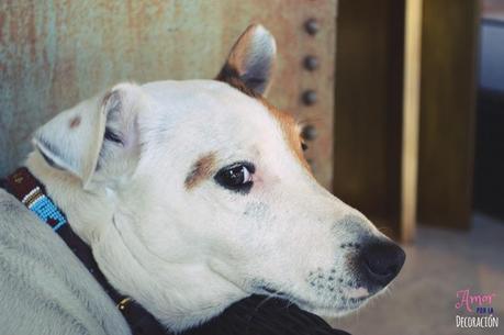 ROKC FURNITURES & ANTIQUES. ESPACIO DE ANTIGÜEDADES Y VANGUARDIA ROKC FURNITURES & ANTIQUES. ESPACIO DE ANTIGÜEDADES Y VANGUARDIA