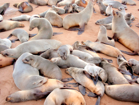 NAMIBIA POR LIBRE (10 DÍAS) swakopmund