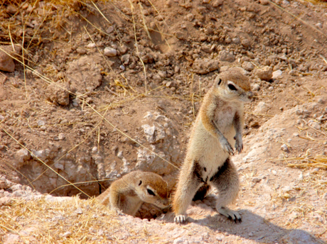 NAMIBIA POR LIBRE (10 DÍAS) Captura de pantalla 2014-10-06 a las 22.07.44