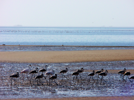 NAMIBIA POR LIBRE (10 DÍAS) swakopmund