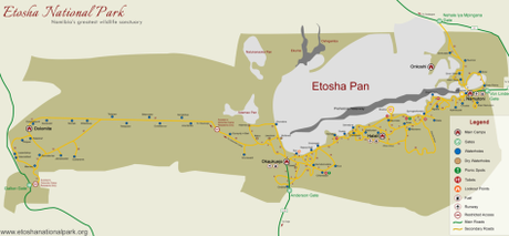 NAMIBIA POR LIBRE (10 DÍAS) ETOSHA PARK